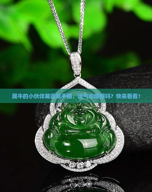 属牛的人带翡翠手镯会怎么样