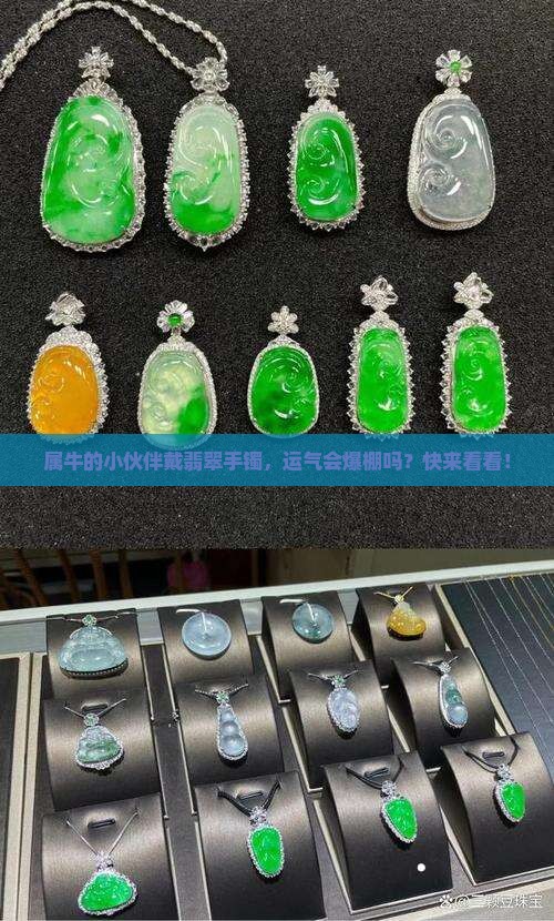 属牛的人带翡翠手镯会怎么样