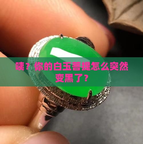 白玉菩提颜色变暗