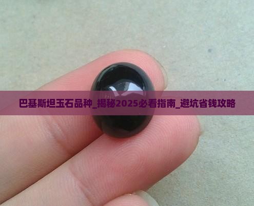 巴基斯坦玉石品种
