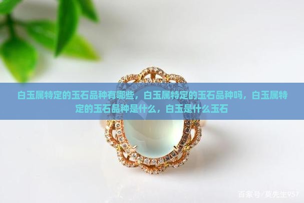 白玉属特定的玉石品种