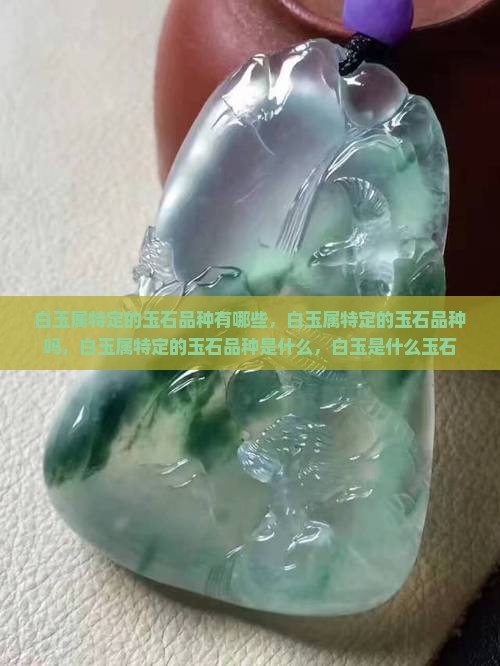白玉属特定的玉石品种