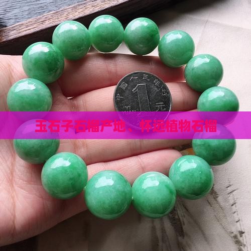 玉石子石榴产地