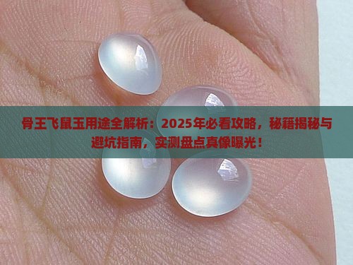 骨王的飞鼠玉有什么用