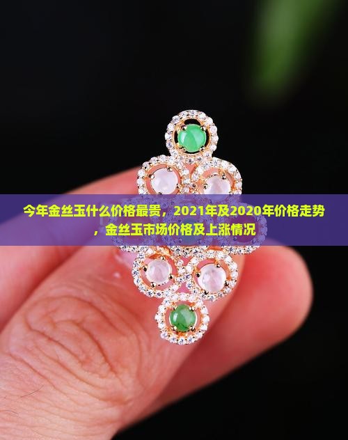 今年金丝玉什么价格