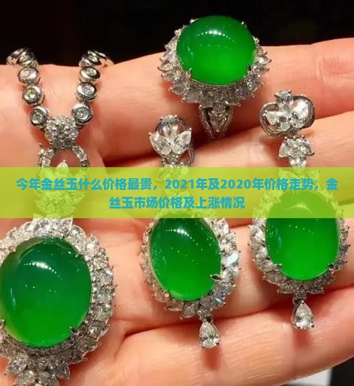 今年金丝玉什么价格