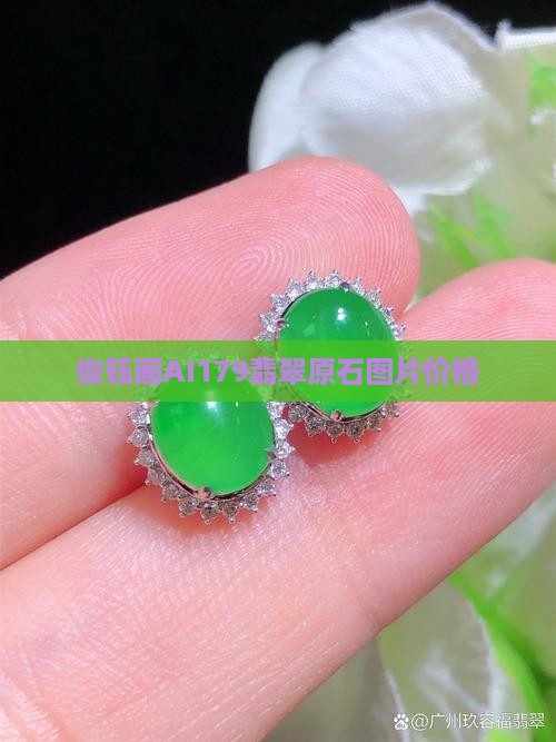 俊钰阁ai179缅甸翡翠原石