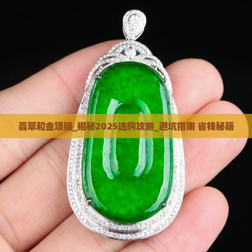 翡翠和金项链