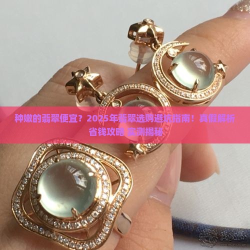 种嫩的翡翠便宜