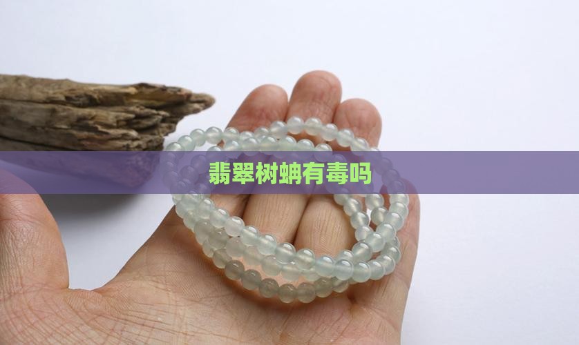翡翠树蚺有毒吗