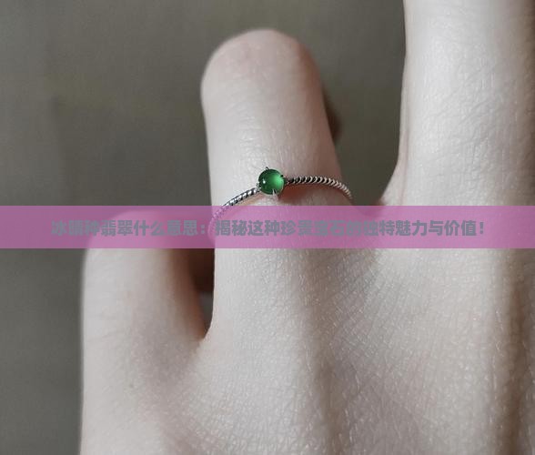 冰晴种翡翠什么意思