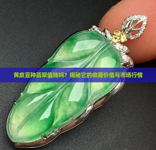 黄皮豆种翡翠值钱吗