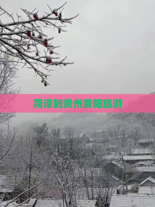 菏泽到贵州贵阳旅游