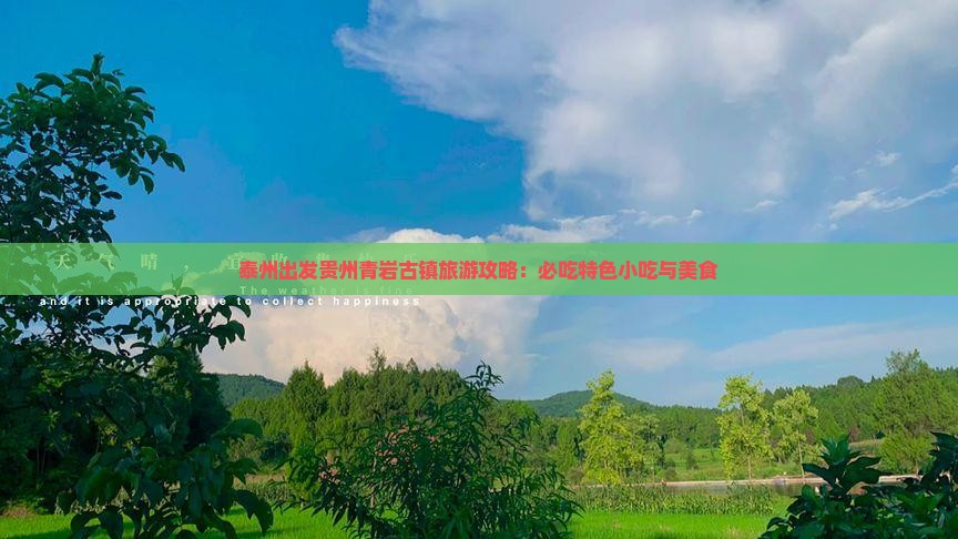 泰州出发贵州青岩古镇旅游攻略：必吃特色小吃与美食