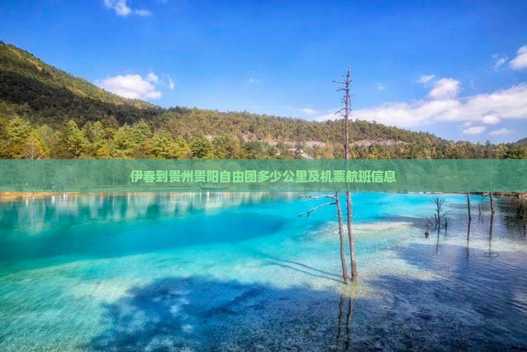 伊春到贵州贵阳自由团多少公里及机票航班信息