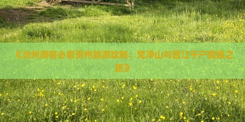 《沧州游客必看贵州旅游攻略：梵净山与西江千户苗寨之旅》