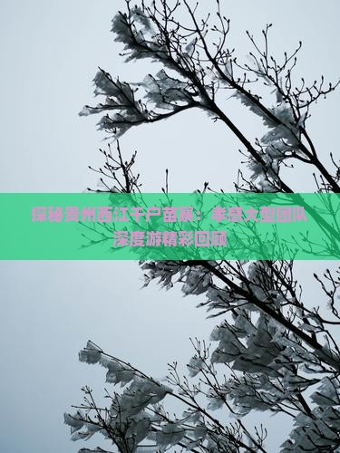 探秘贵州西江千户苗寨：孝感大型团队深度游精彩回顾
