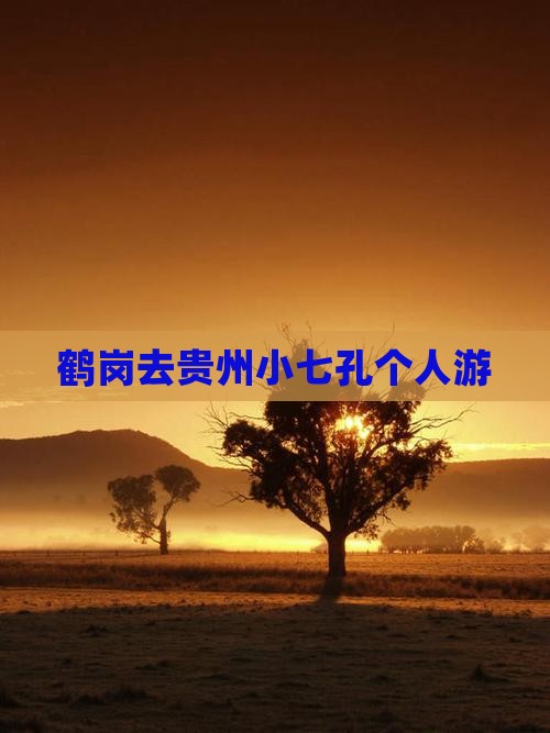 鹤岗去贵州小七孔个人游