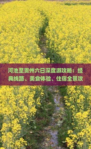 河池至贵州六日深度游攻略：经典线路、美食体验、住宿全景攻略