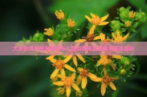大丰到贵州黄果树瀑布七日游费用及路线与距离解析