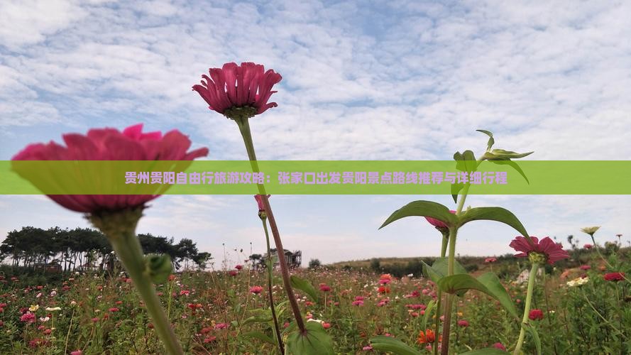 贵州贵阳自由行旅游攻略：张家口出发贵阳景点路线推荐与详细行程