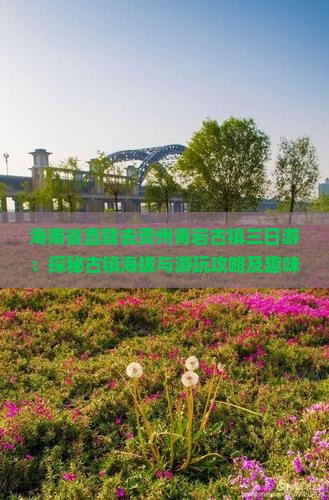 海南省直辖去贵州青岩古镇三日游：探秘古镇海拔与游玩攻略及趣味体验