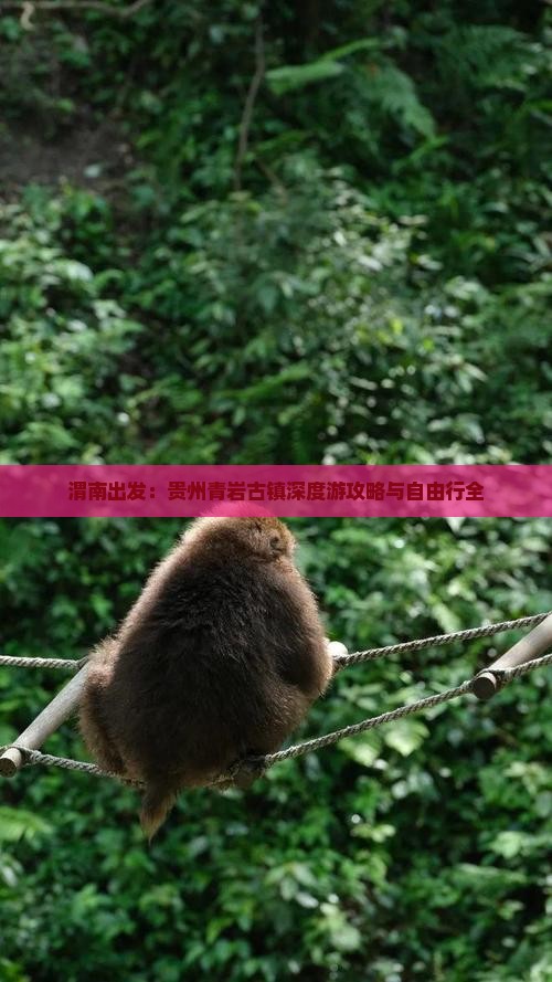 渭南出发：贵州青岩古镇深度游攻略与自由行全