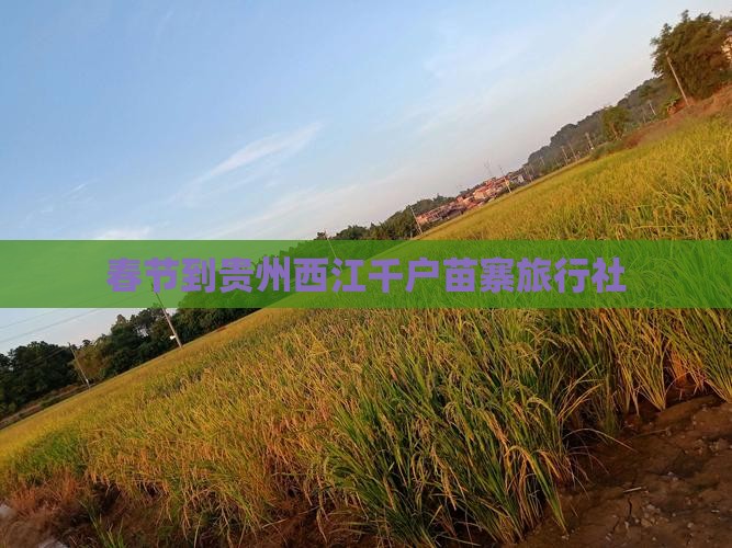 春节到贵州西江千户苗寨旅行社