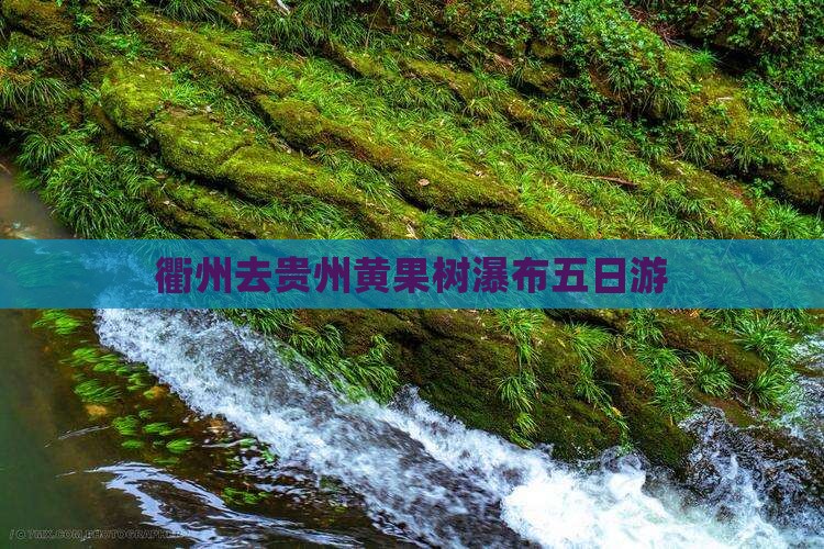衢州去贵州黄果树瀑布五日游