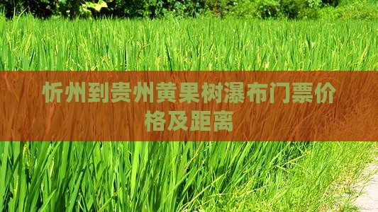 忻州到贵州黄果树瀑布门票价格及距离