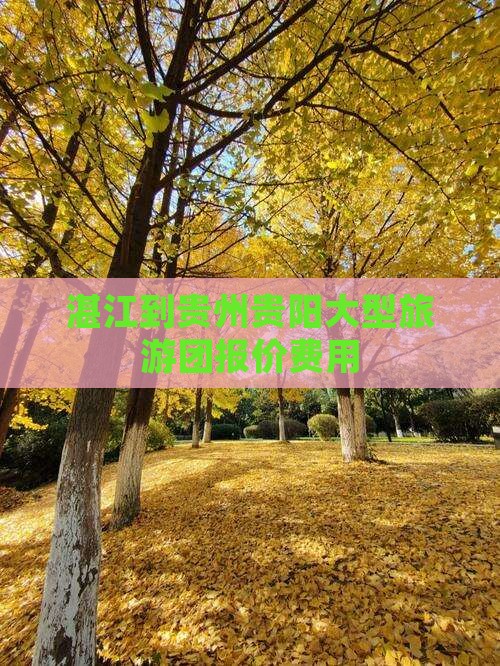 湛江到贵州贵阳大型旅游团报价费用