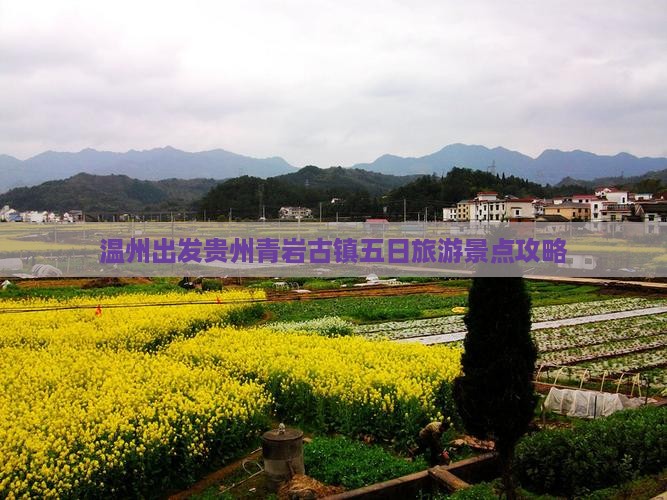 温州出发贵州青岩古镇五日旅游景点攻略