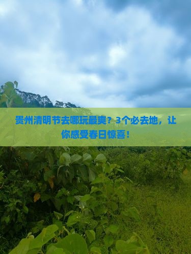 清明节到贵州必去地