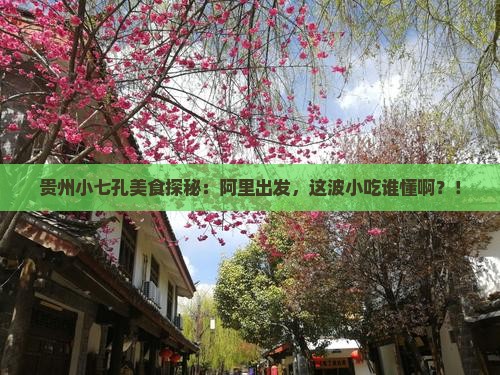 阿里到贵州小七孔旅游小吃 阿里到贵州小七孔旅游小吃