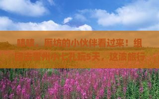 廊坊去贵州小七孔五日游