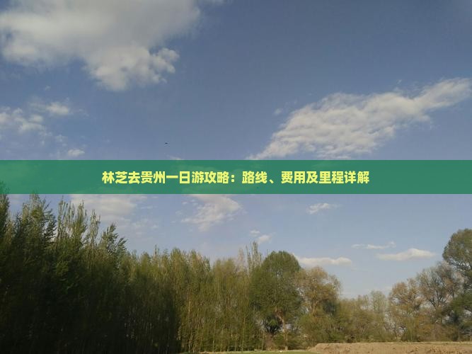 林芝去贵州一日
