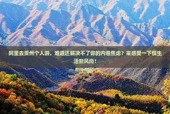 阿里去贵州个人游
