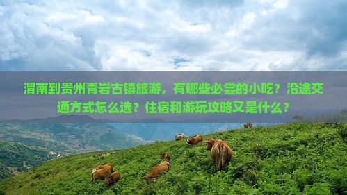 渭南到贵州青岩古镇旅游小吃