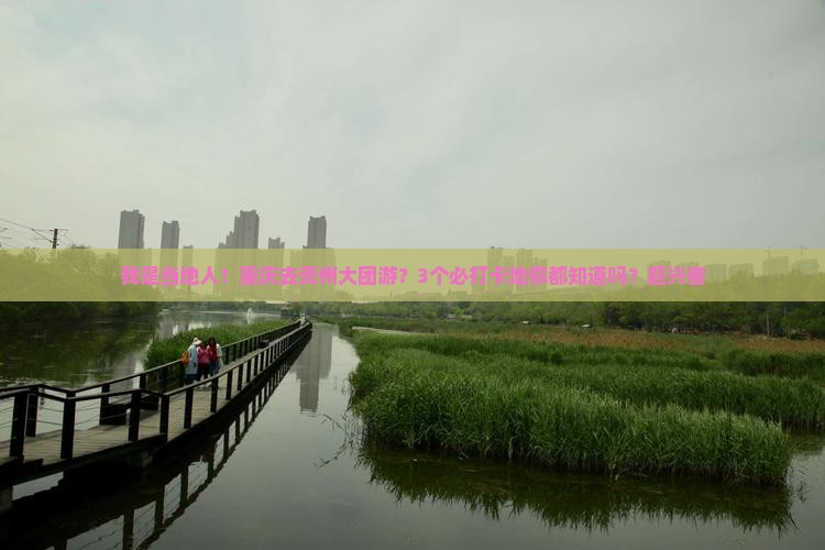 重庆去贵州大型旅游团