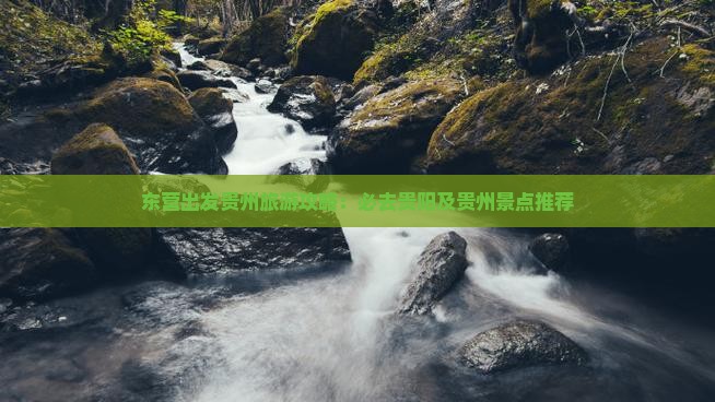 东营去贵州景点