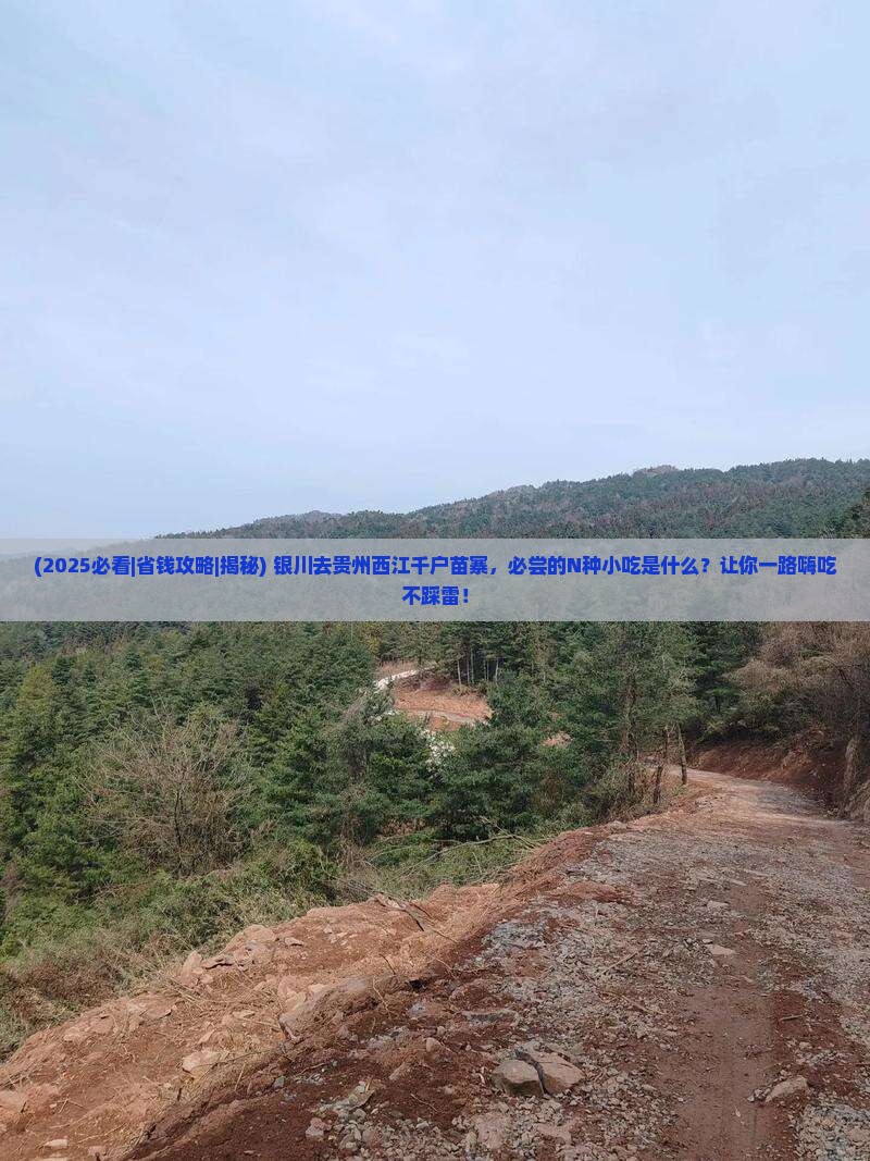 银川去贵州西江千户苗寨旅游小吃