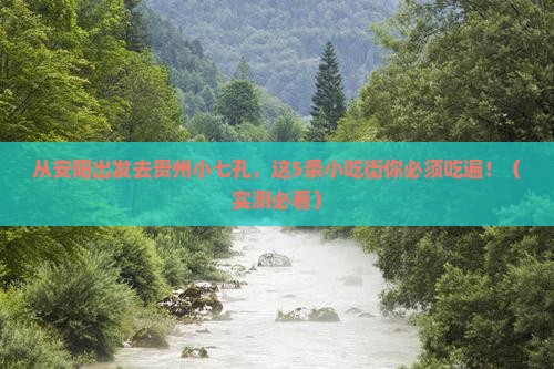 安阳去贵州小七孔旅游小吃