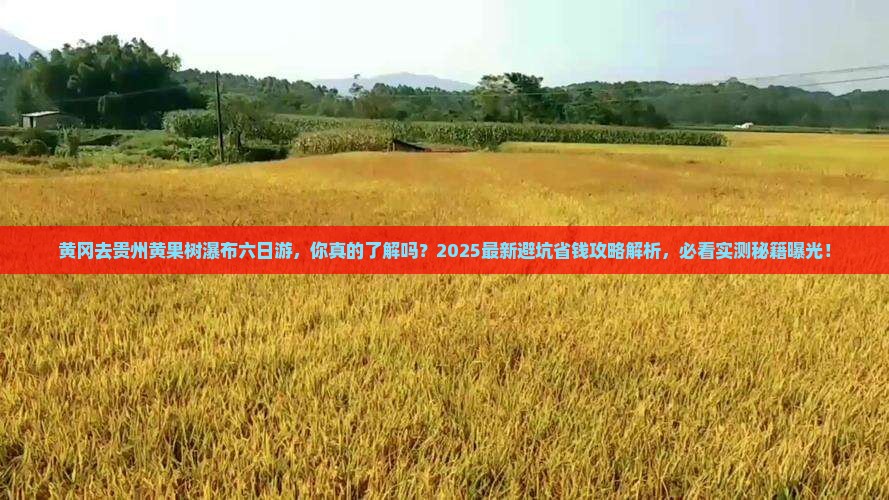 黄冈去贵州黄果树瀑布六日游