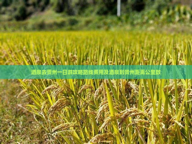 酒泉去贵州一日
