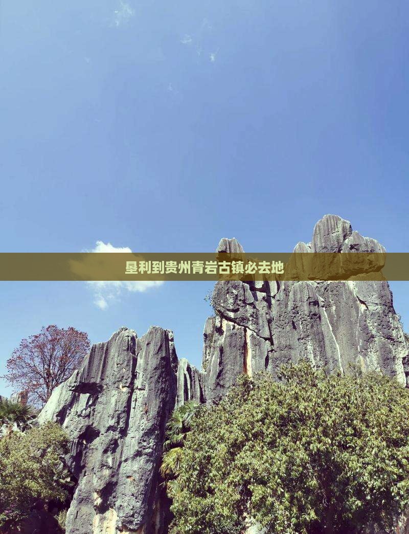 垦利到贵州青岩古镇必去地