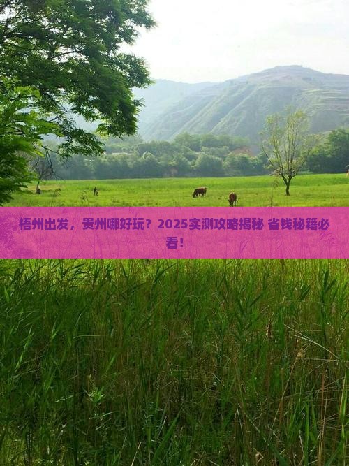 梧州到贵州哪里玩