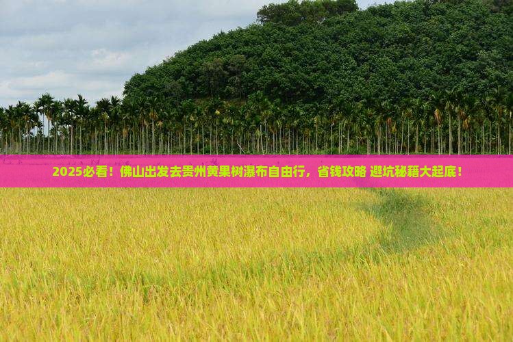 佛山去贵州黄果树瀑布自由团