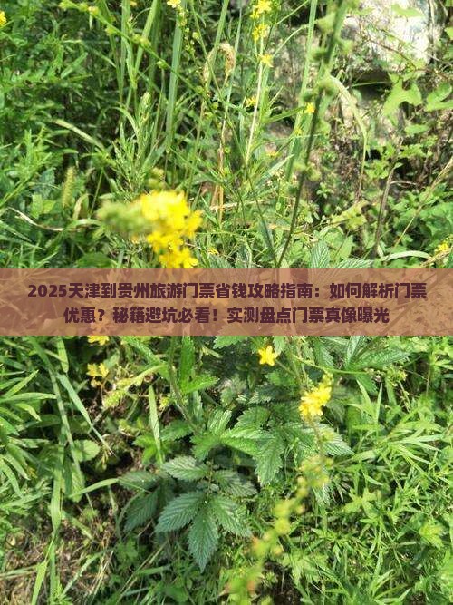 天津到贵州门票