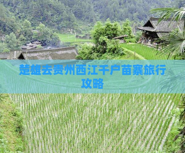 楚雄去贵州西江千户苗寨旅行社