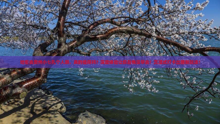 哈密去贵州小七孔个人游